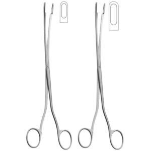 Desjardin Forceps – Surgical Grade Stainless steel