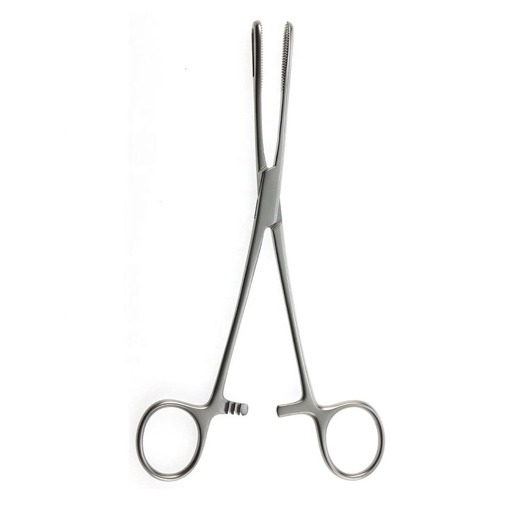 Sponge Holding Forceps | Surgical Dressing Instrument – ASONS SURGICAL